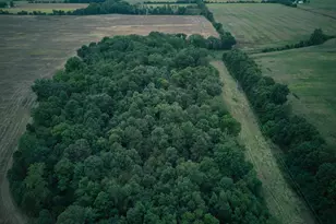 Herl Rd, Bronson, MI 49028 - Photo 1