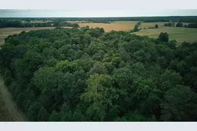 Herl Road, Bronson, MI 49028 - Photo 20