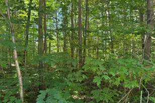 5818 Hunters Ridge, Fennville, MI 49408 - Photo 1