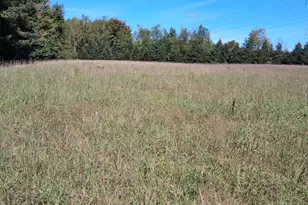 1442 W Tyler Rd, Hart, MI 49420 - Photo 42