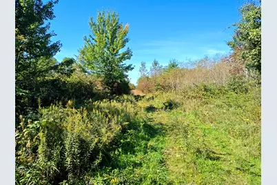 Vl 72nd St, Covert, MI 49043 - Photo 12