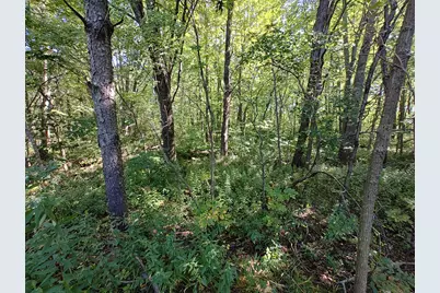 Vl 72nd St, Covert, MI 49043 - Photo 20