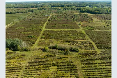 Vl 72nd St, Covert, MI 49043 - Photo 32