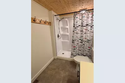 10780 Alpine Drive, Lake, MI 48632 - Photo 24