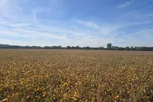 Marshall Rd, Coldwater, MI 49036 - Photo 1