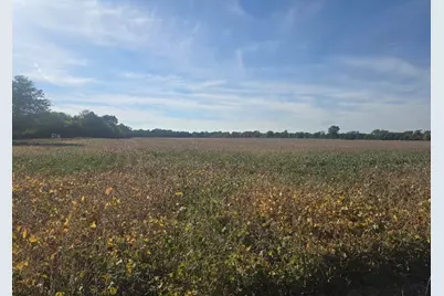 Marshall Road, Coldwater, MI 49036 - Photo 2