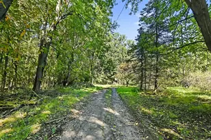 8515 E Price Rd, Laingsburg, MI 48848 - Photo 28