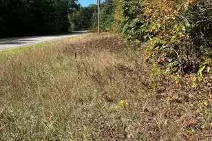 Vl Sweeter Rd, Twin Lake, MI 49457 - Photo 1