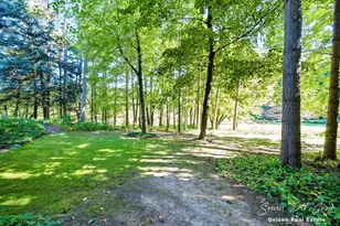 5236 N Whites Bridge Rd, Belding, MI 48809 - Photo 46