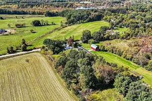 9237 Easton Rd, Rives Junction, MI 49277 - Photo 44