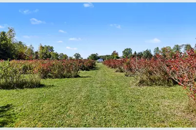 19020 W Pierson Road, Pierson, MI 49339 - Photo 6