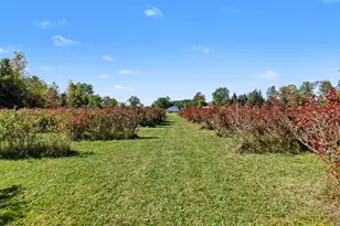 19020 W Pierson Rd, Pierson, MI 49339 - Photo 6
