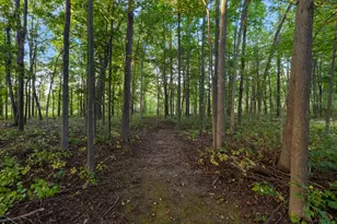 12463 Hibner Rd, Hartland, MI 48353 - Photo 74