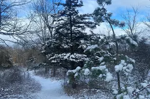 12463 Hibner Rd, Hartland, MI 48353 - Photo 82