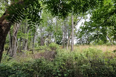 4667 Hill Road, Bellevue, MI 49021 - Photo 28