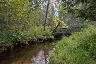 22313 10 Mile Rd, Reed City, MI 49677 - Photo 1