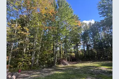 22313 10 Mile Road, Reed City, MI 49677 - Photo 6
