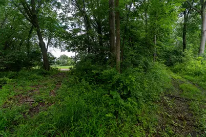 V/L 47.06 Weiser Road, Niles, MI 49120 - Photo 8