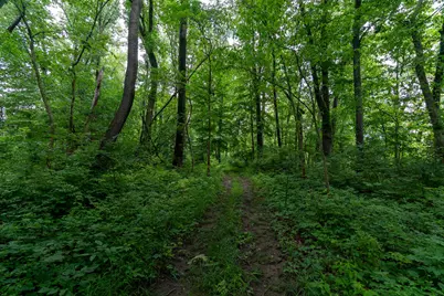V/L 47.06 Weiser Road, Niles, MI 49120 - Photo 12