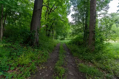 V/L 47.06 Weiser Road, Niles, MI 49120 - Photo 6