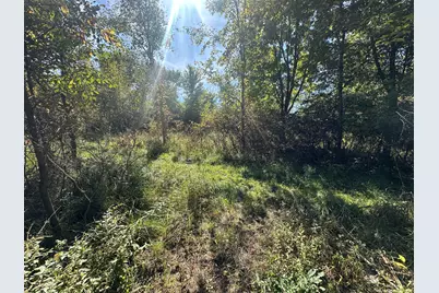 Vl 20 Mile Road, Marshall, MI 49068 - Photo 4