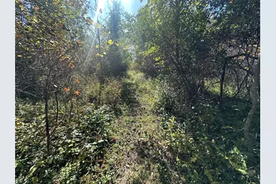 Vl 20 Mile Road, Marshall, MI 49068 - Photo 6