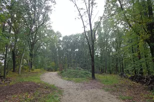 Parcel A 109th Ave, Pullman, MI 49450 - Photo 1