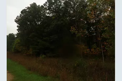 Parcel B 109th Avenue, Pullman, MI 49450 - Photo 1