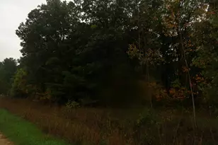 Parcel B 109th Ave, Pullman, MI 49450 - Photo 1
