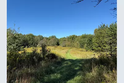 14666 Fedore Road, Buchanan, MI 49107 - Photo 14
