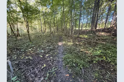 14666 Fedore Road, Buchanan, MI 49107 - Photo 20