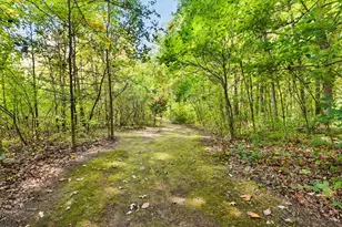 22939 Sherwood Rd, Belleville, MI 48111 - Photo 48