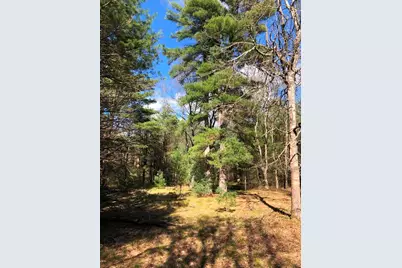 V/L Dalson Road, Holton, MI 49425 - Photo 10