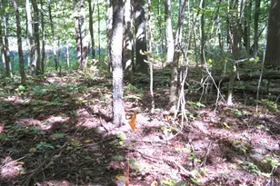 23267 Cadillac Hwy, Copemish, MI 49625 - Photo 38