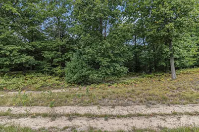 Lot 2 Pine Street, Mears, MI 49436 - Photo 6