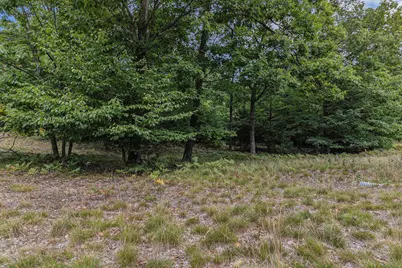 Lot 2 Pine Street, Mears, MI 49436 - Photo 8