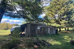 9177 S Bonney Rd, Chase, MI 49623 - Photo 6