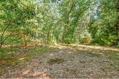 682 S Locust Avenue, White Cloud, MI 49349 - Photo 74