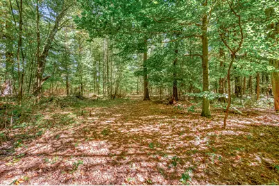 682 S Locust Avenue, White Cloud, MI 49349 - Photo 46