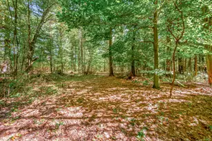 682 S Locust Ave, White Cloud, MI 49349 - Photo 46