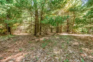 682 S Locust Ave, White Cloud, MI 49349 - Photo 72