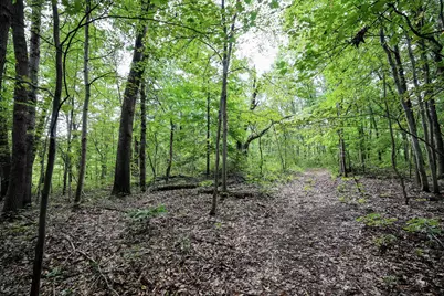 Vl Dutch Settlement Street, Dowagiac, MI 49047 - Photo 56