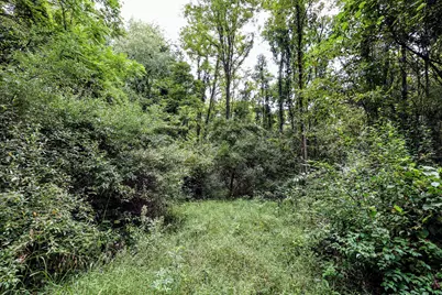 Vl Dutch Settlement Street, Dowagiac, MI 49047 - Photo 60
