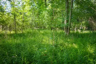 V/L 12A S 168th Ave, Hesperia, MI 49421 - Photo 1