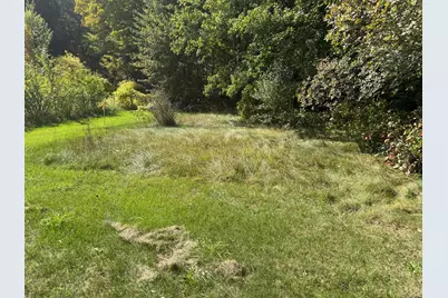 Carol Street, Newaygo, MI 49337 - Photo 4