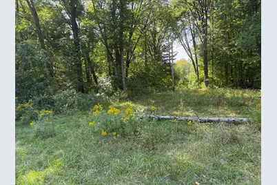 Carol Street, Newaygo, MI 49337 - Photo 2