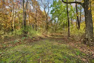 60070 Pemberton Rd, Vandalia, MI 49095 - Photo 78