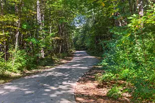 7149 W Homer Lake Rd, Shelby, MI 49455 - Photo 4