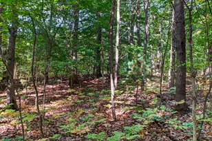 7149 W Homer Lake Rd, Shelby, MI 49455 - Photo 34