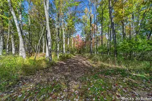 5370 N Alamando Rd, Coleman, MI 48618 - Photo 38